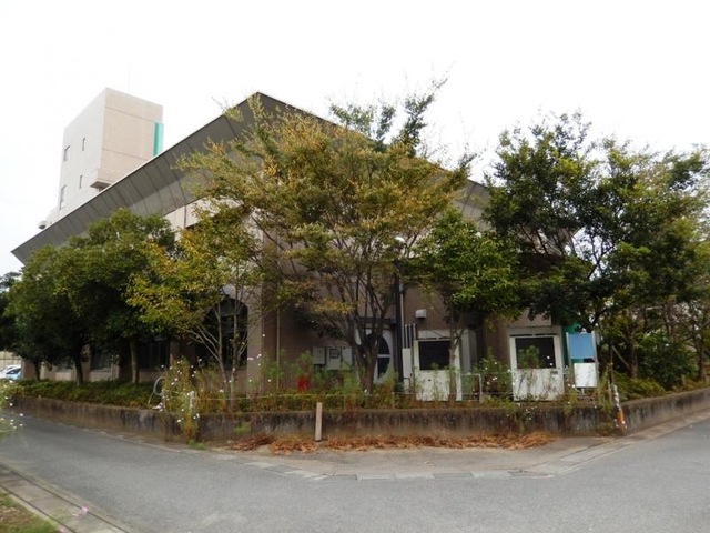秋桜の里