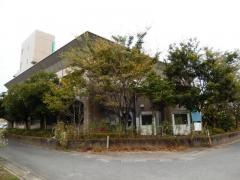 秋桜の里