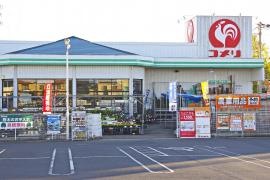 コメリハード＆グリーン　館林北店