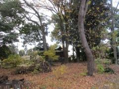 法王寺