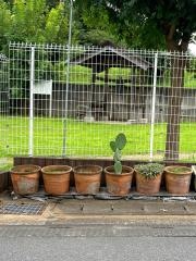 認定こども園はなむろ園花室幼稚園