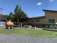 サニーサイドインターナショナル幼稚園