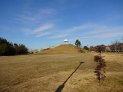 余野中央公園