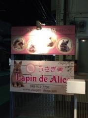 うさぎ舎