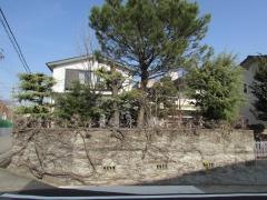 高柳歯科医院