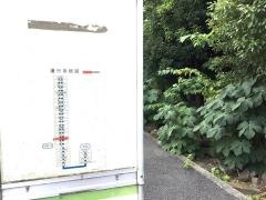 「大竹」バス停留所