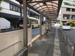 「西新井大師」バス停留所