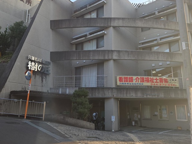 樹の丘