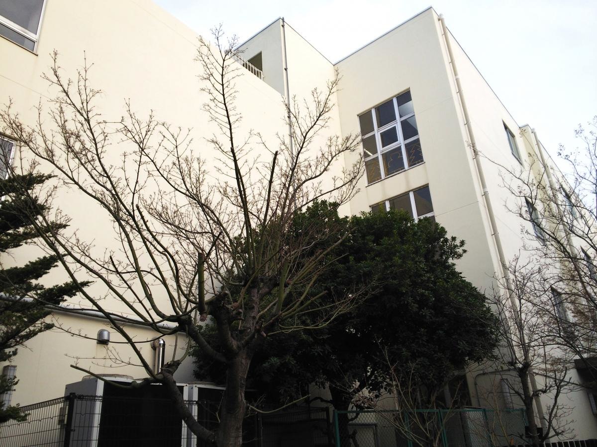 小学校