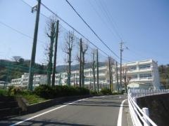 由比小学校