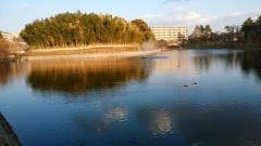 桃山公園