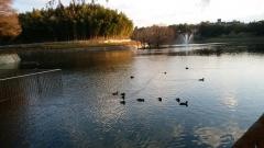 桃山公園