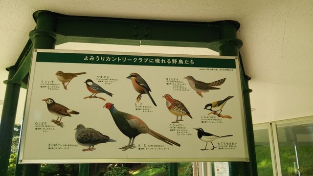 施設写真31