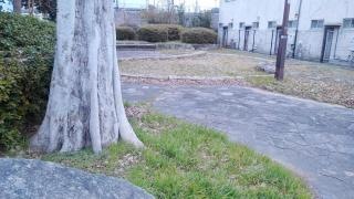 森友緑地