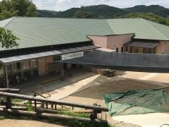 しいのみ幼稚園