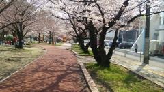 山王公園