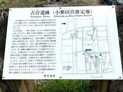 「豊浦駐車場」バス停留所