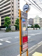 「白島九軒町」バス停留所