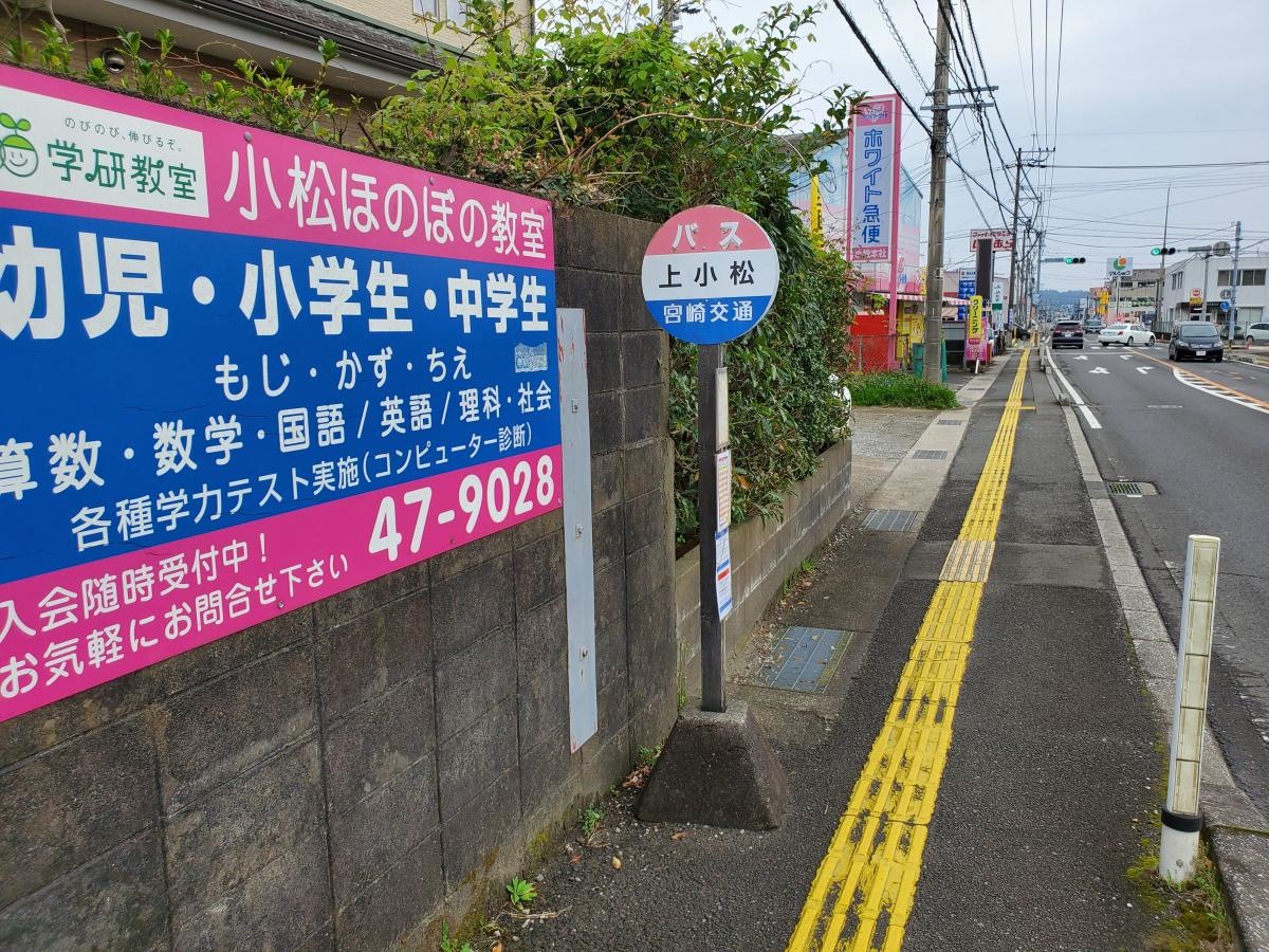 全景です。
