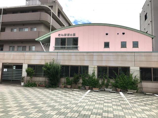 たんぽぽの里