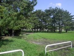 吾妻公園