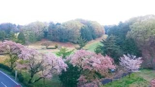 東京国際ゴルフ倶楽部