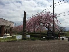 小山町生涯学習センター小山町総合文化会館