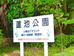 蓮池公園