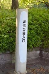 蓮池公園