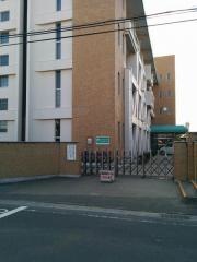松前小学校