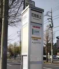 「花見坂上」バス停留所
