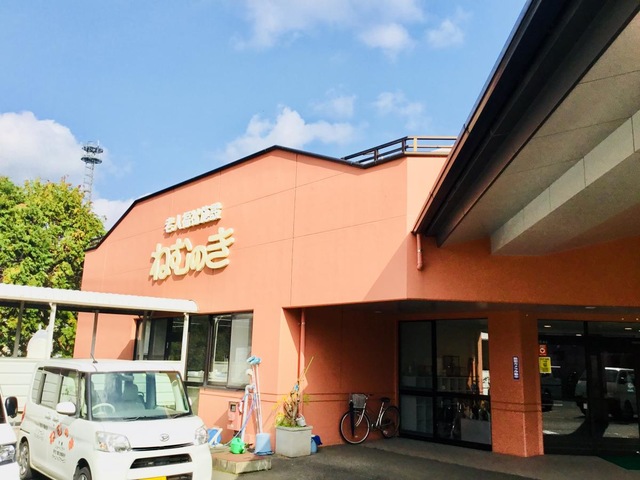 ねむのき