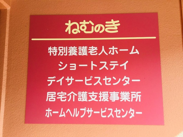 ねむのき
