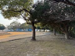 田尻ファミリー公園