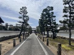 金寶山　　開善院