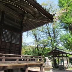 八坂神社