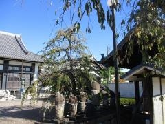 東漸寺