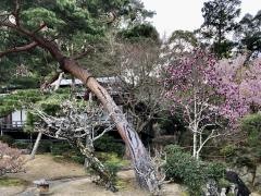 三養荘