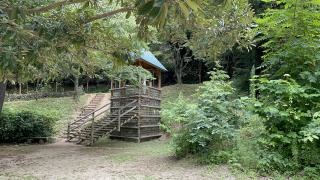 目田森林公園