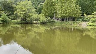 目田森林公園