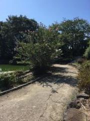 妙見池近隣公園