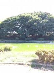 妙見池近隣公園