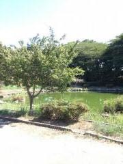 妙見池近隣公園