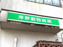岸野動物病院