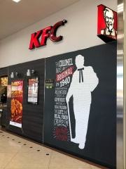 ケンタッキーフライドチキン　ベイシア日高店