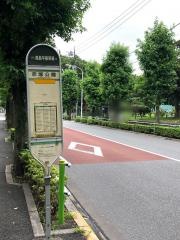 「赤塚公園」バス停留所