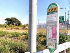 「金洗西」バス停留所