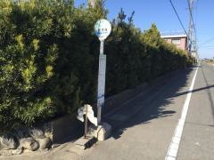 「野市場」バス停留所