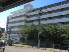 池上