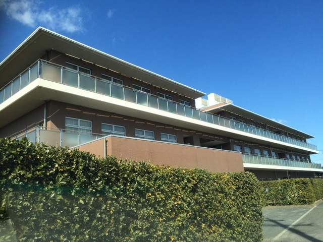 住吉杉の子園